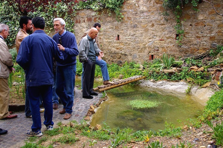 Il Laghetto del Centro di Entomologia - Piombino (LI)